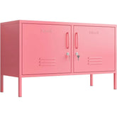 YQXH 2 Doors Metal Storage Cabinet Multifunction lockers Modern TV Stand Large Space Adjustable Bedroom Locker