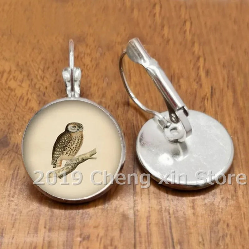 Novel and attractive fashion owl cabochon glass earrings, DIY jewelry earrings, as a gift for ladies